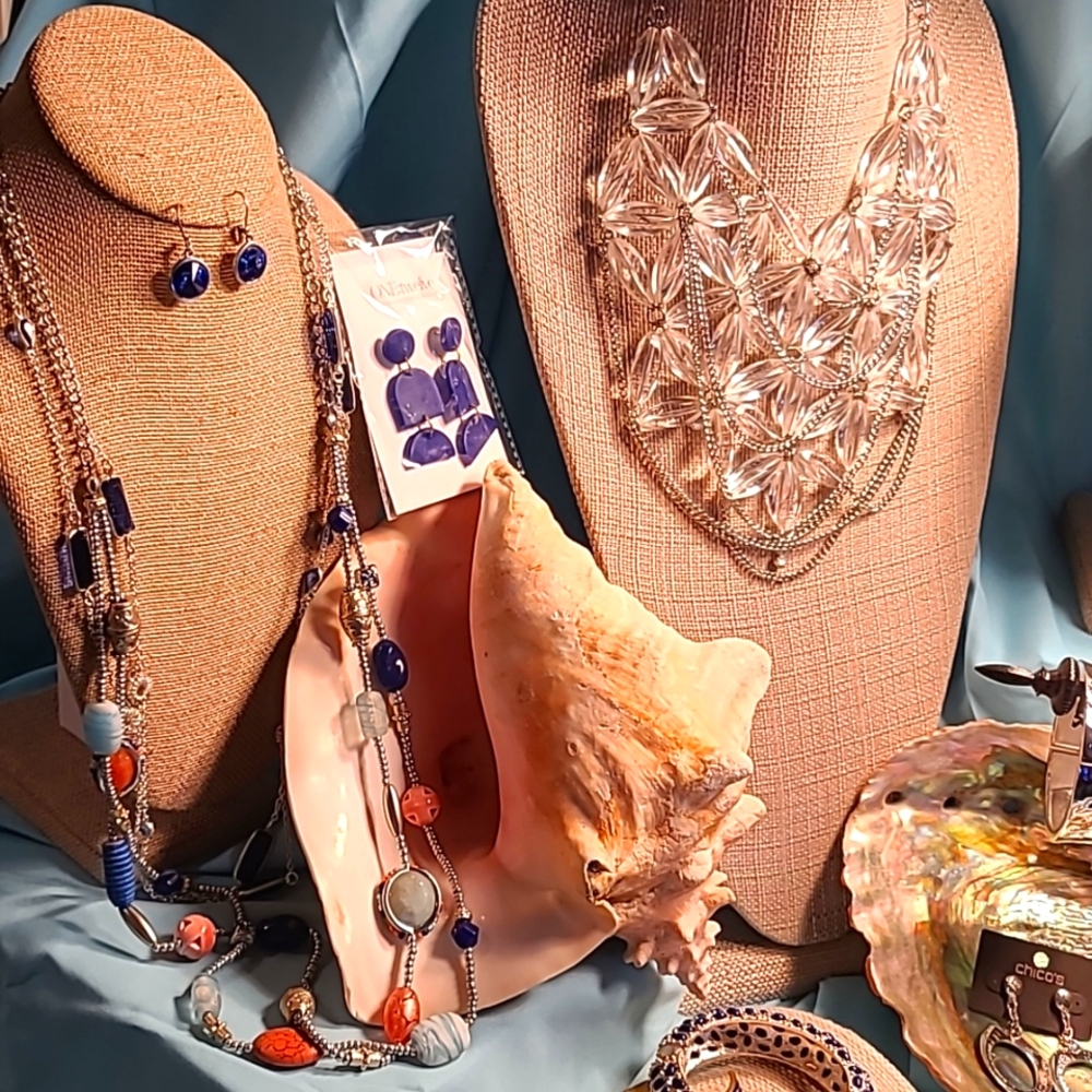 Incredible 18-item Lucky, Robert Lee Morris, INC, Chico's, & more Designer Set! - Picture 4 of 14